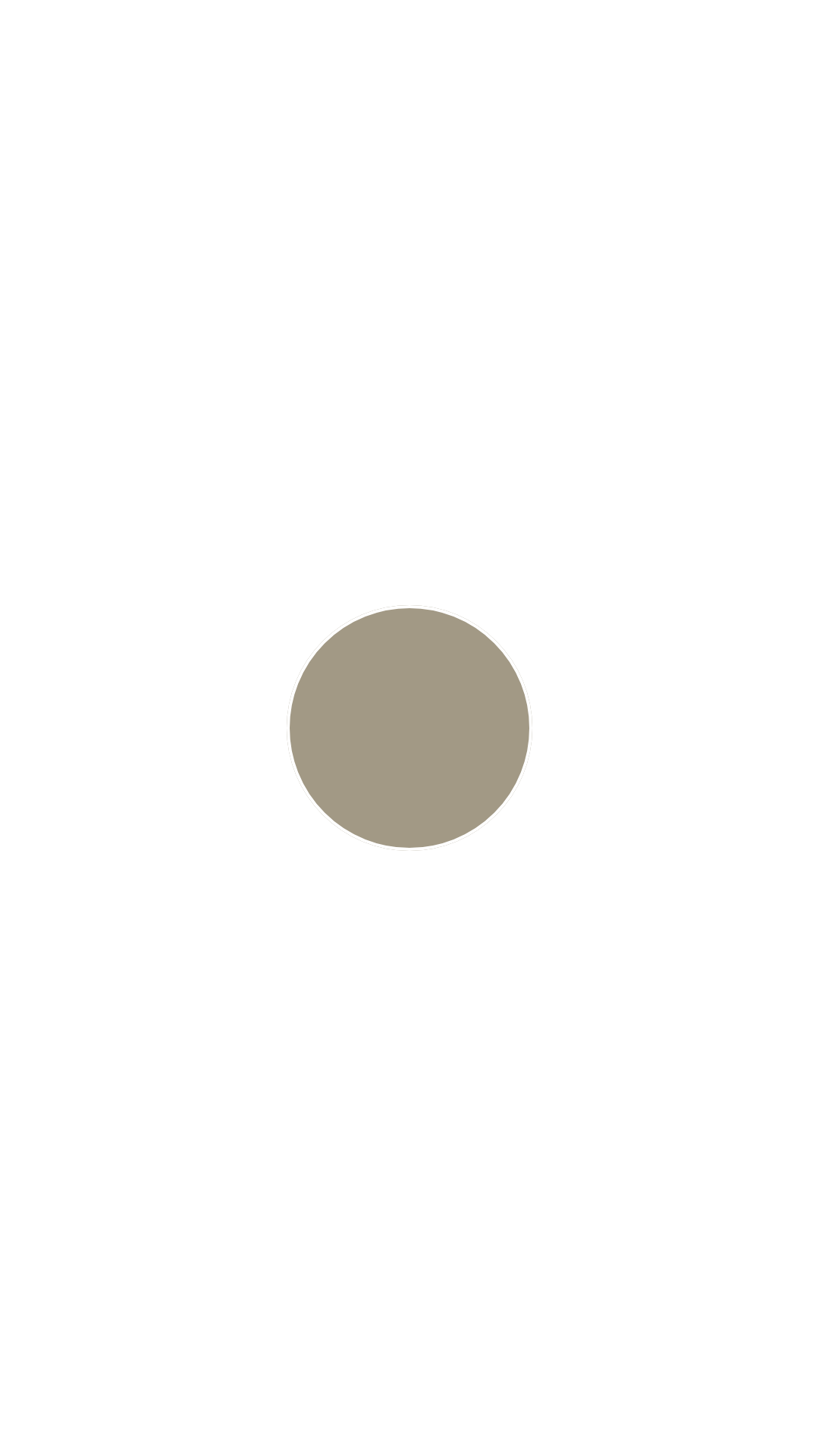 Nepaxal 31 Leichtbronze